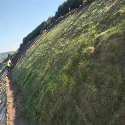 绿化护坡椰坡丝纤毯 被XRH 河道护生态毯生态纤维维植毯
