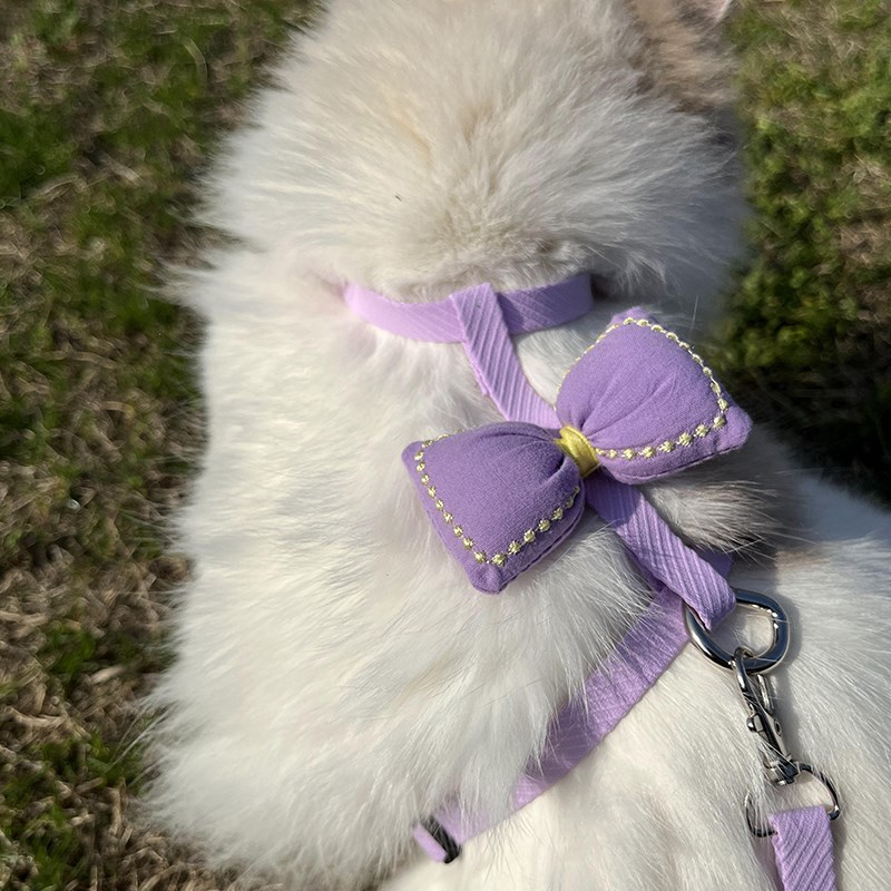 猫咪宠物牵引绳防外出神器布偶缅因德文遛猫绳子小型犬绳