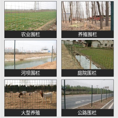 推荐博铁网围栏养殖网加粗护围y网钢丝两米养鸡网网子过塑栏栅鸽