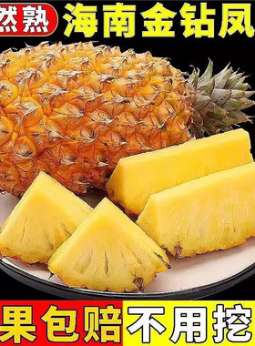 产地海南金钻凤梨新鲜水果树熟台农17号凤梨