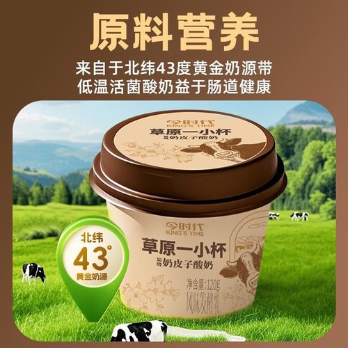 草原一小桶炭烧奶皮子酸奶家庭装内蒙特产营养老少皆宜轻食代餐