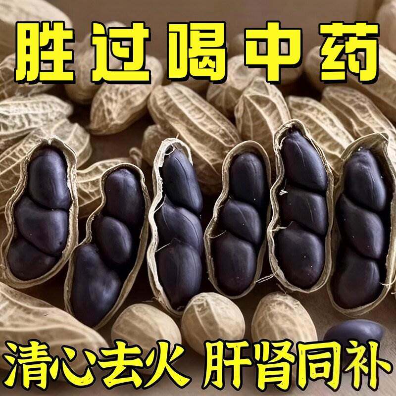 富硒黑花生带壳2026年新货新鲜黑皮花生非有机农家自产生黑花生