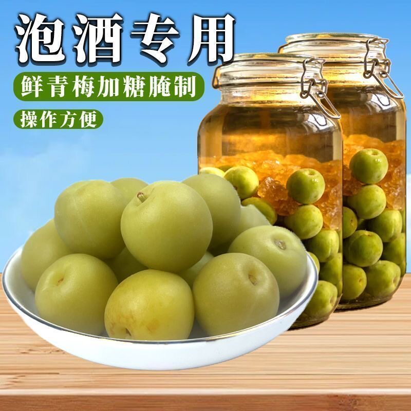 轻加工青梅鲜果泡酒专用解腻清香大果黄梅野生酸甜开胃新鲜脆梅子