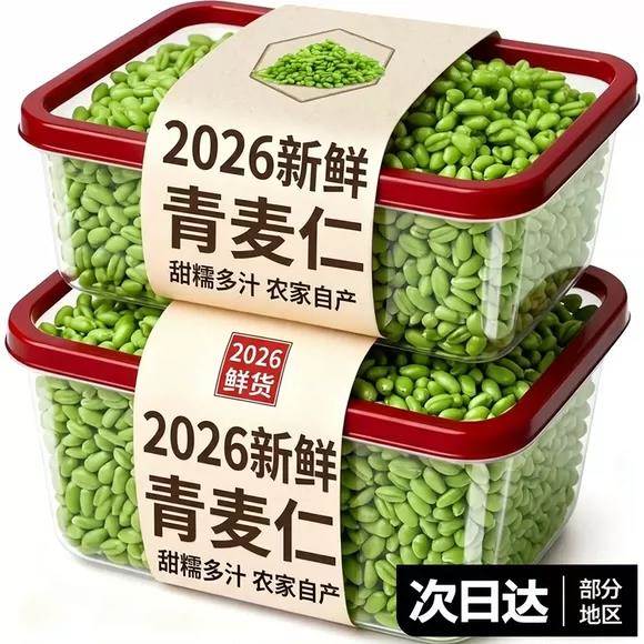 2026新货新鲜有机青麦仁麦粒米河南农家自产青小麦煮粥