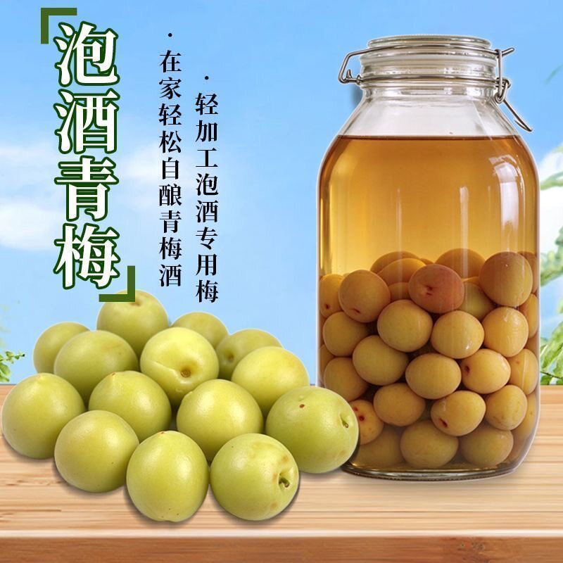 轻加工青梅鲜果泡酒专用精选适配黄梅解腻新鲜酸甜开胃大果脆梅子