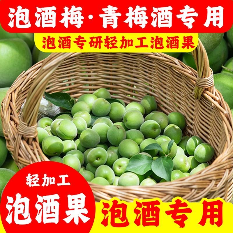 轻加工青梅鲜果泡酒专用精选大果口感丰厚酿酒自酿解腻开胃适配
