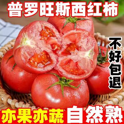 陕西泾阳普罗旺斯西红柿5斤新鲜包邮大棚自然熟水果沙瓤番茄