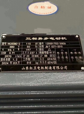 山东厂家直供 YK250M2-2/110KW  IP23空压机专用 三相异步电动机