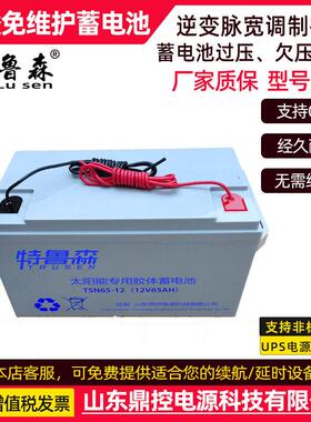 鲁太阳能电特森T酸LS100-12太阳能铅蓄电池12V100AH带引线PUS可选