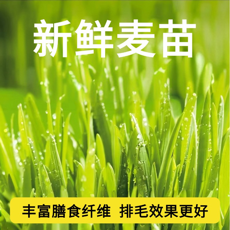猫吉宠【猫草果冻】大猫条排毛专用营养补水增肥发腮营养猫条图片