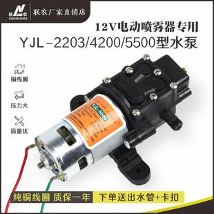 5500 12v电动喷雾器泵电机小水泵水钻自吸隔膜智能打药泵配件2203