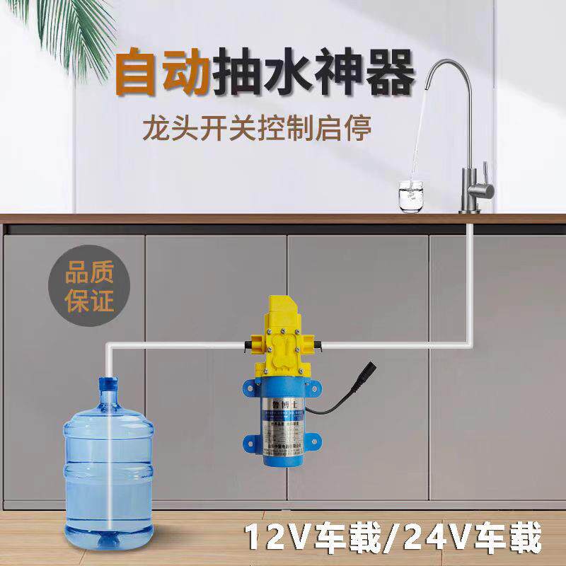 桶装水抽水器12V车载24V房车摆摊户外纯净水饮用水电动餐车自吸泵