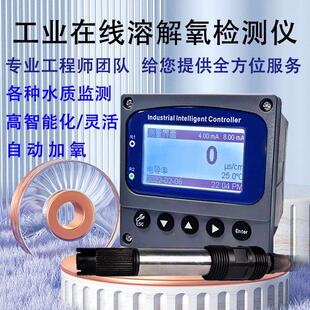 工业线 线上溶解氧仪溶氧检测仪溶氧仪含氧量好氧量DO检测仪监视