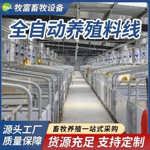 养猪料线全自动赛盘链条上料线养殖场饲料输送料线