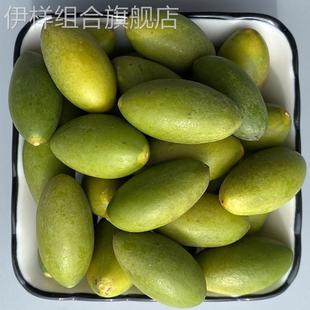 福建闽清生吃青橄榄橄榄果福建闽清老树檀香橄榄青果煲汤水果包