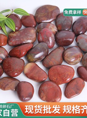 红色鹅卵石 铺路园林造景红色雨花石子 鱼缸水池垫底水洗抛光石