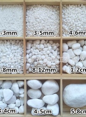 多肉铺面 白色机制鹅卵石 水磨石 园艺鱼缸装饰 白石子 量大价优