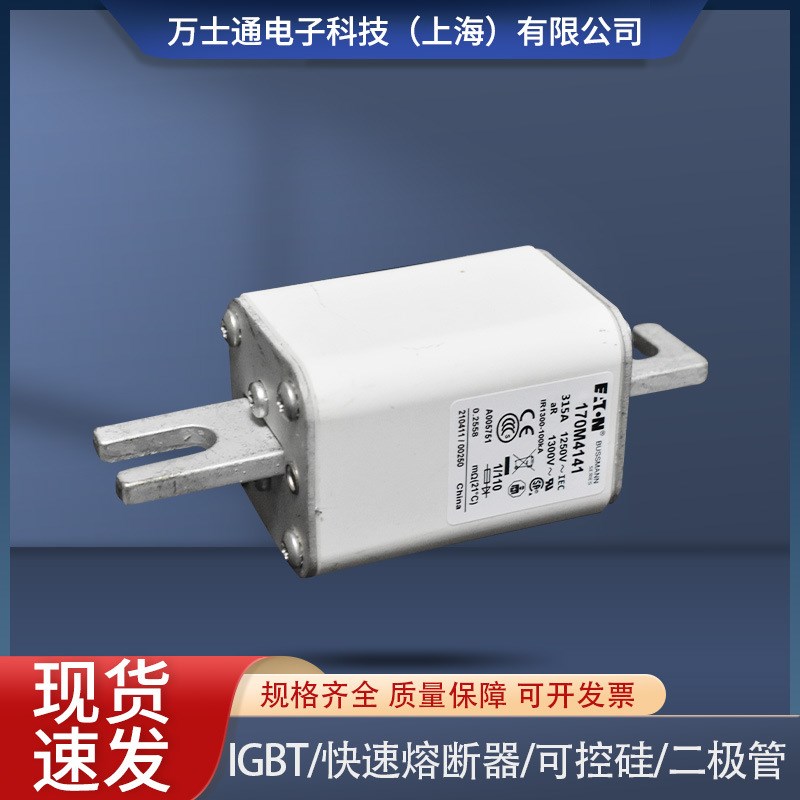 熔断器170M4138/4139/4140/4141/4142/414/4144/4145/4146/4147
