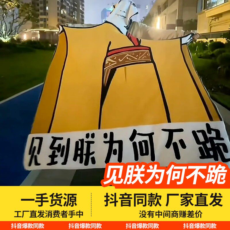 见到朕为何不跪毯子睡衣服毛毯空调毯印花法兰绒毯网红搞怪车摆件