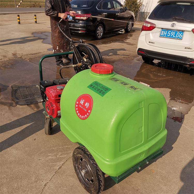 推车式高压清洗机300升柴油汽油电动各种动力300L洗车机多功能