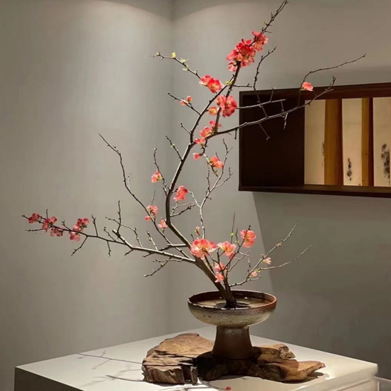 水培海棠花鲜切枝室内盆栽树苗客厅水养绿植物四季开鲜花卉白玉兰