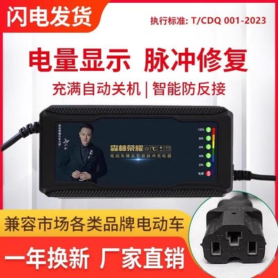 立马电动车充电器48V12AH60V20AH72V32AH两针3针公插反接通用原装