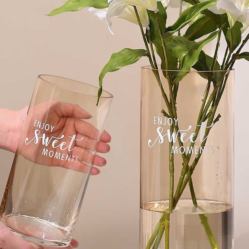 轻奢网红马醉木雪柳高端透明玻璃花瓶客厅插花大号富贵竹百合摆件,家居饰品,花瓶,淘宝优惠券,粉丝福利购,淘宝优惠卷