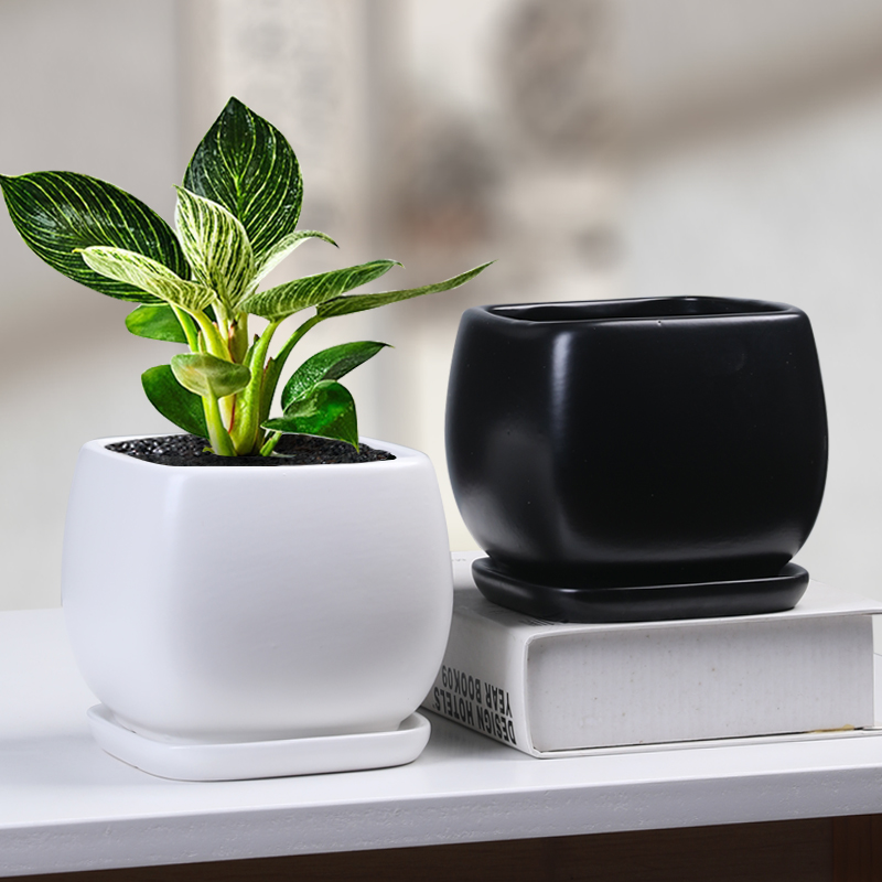 北欧简约陶瓷花盆亚光中号创意个性带托盘家用绿萝蝴蝶兰盆栽盆器