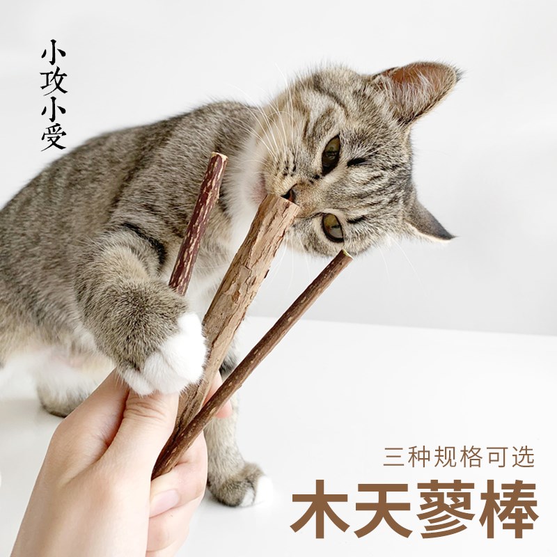 猫咪旺猫零食用品磨牙棒猫薄荷棒棒糖逗猫棒木天蓼猫咪幼猫啃咬