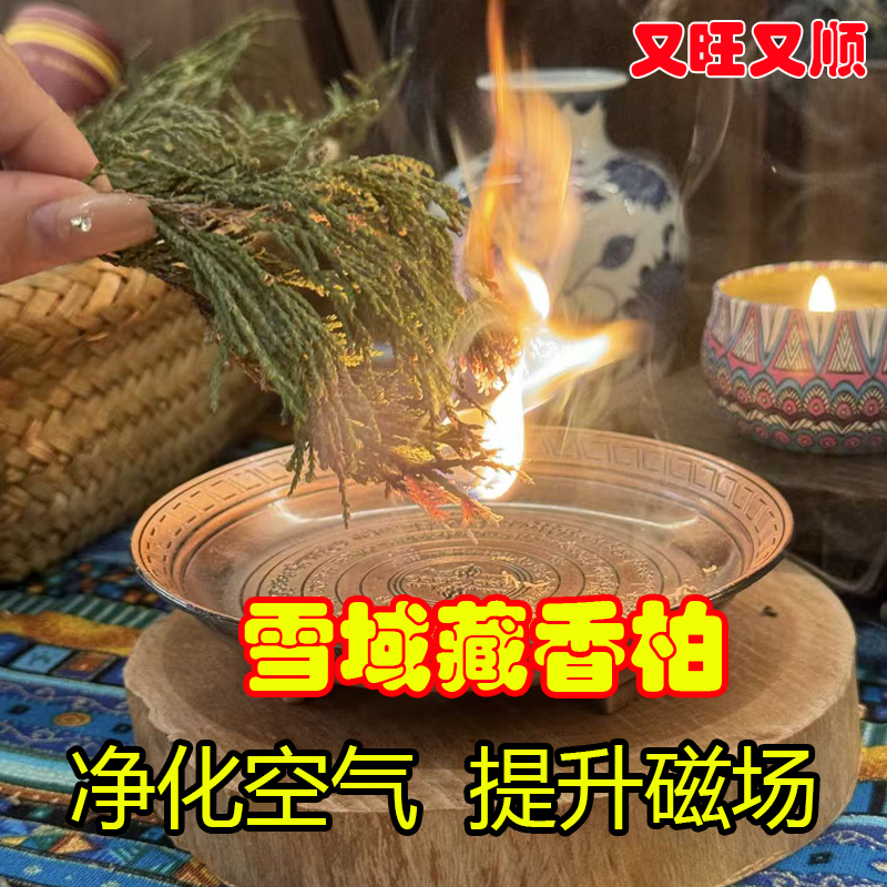 秘境藏香柏·净化杀菌植物驱疫避瘟助眠清秽晦祛湿清净污晦熏香
