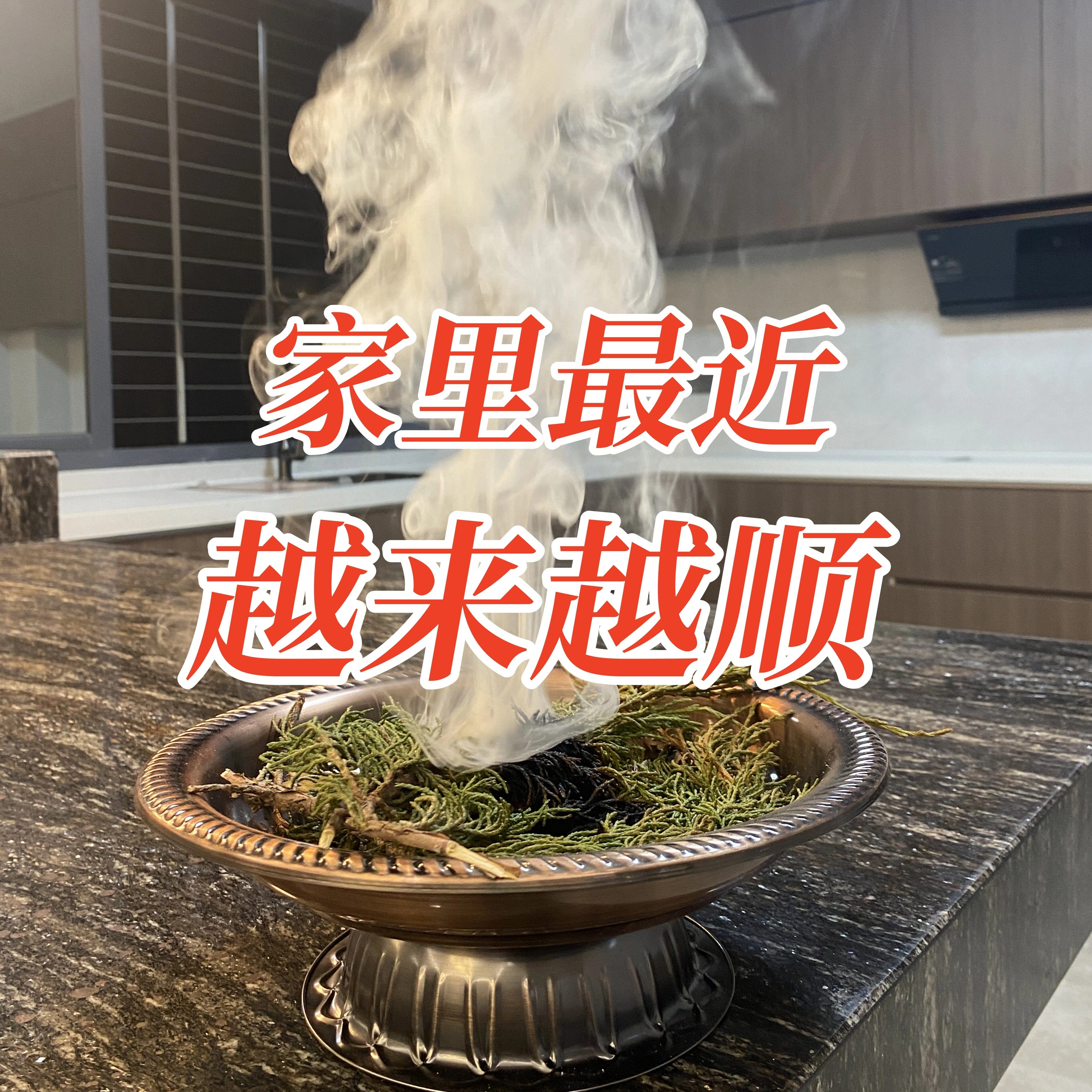 雪域藏香柏·净化杀菌植物驱疫避瘟助眠清秽晦祛湿清净污晦熏香
