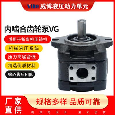 厂家供应铸铁齿轮泵内啮合齿轮泵VG系列量大价优