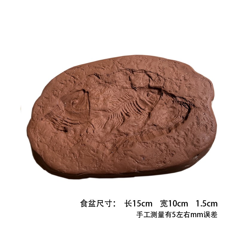 黄缘食盆陆龟半水乌龟苗喂食器守宫蜥蜴角蛙餐盘食台造景爬宠装饰