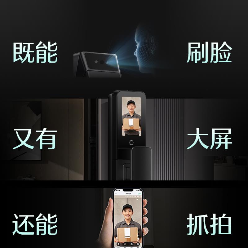【政府补贴15%】德施曼智能门锁人脸猫眼大屏指纹锁大圣Q5FPRO