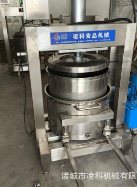 中药榨汁机高效液压式可压蒲公英、桑叶、车前草等绿色药材