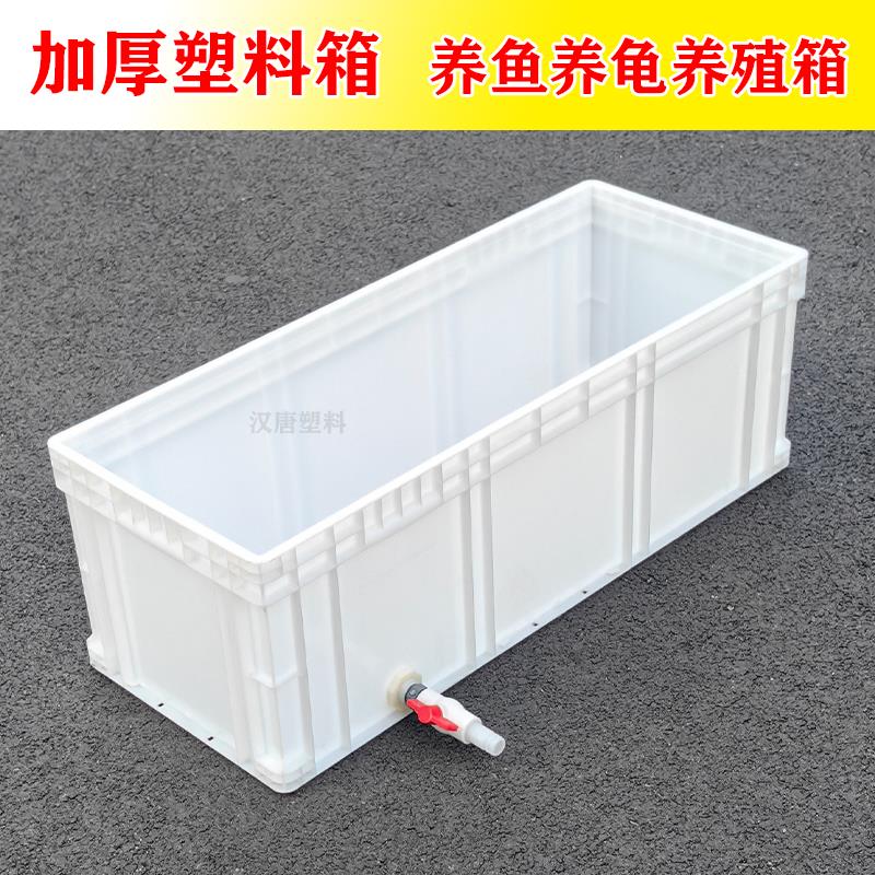 窄长型塑料乌龟箱加长加高生态带排水家用养鱼饲养水槽过滤周转箱