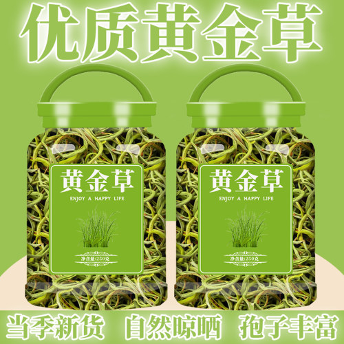 黄金草嗷嗷叫野生肾精草东北长白山肾精草正品肾精茶化石草泡水喝