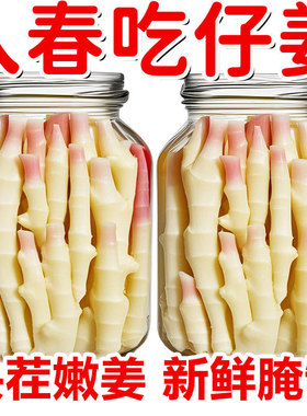 【抢爆了】泡嫩姜泡仔姜泡姜正宗四川老坛酸辣泡姜下饭菜泡菜批发