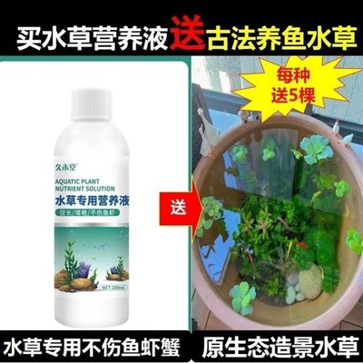 水草营养液不伤鱼虾水草基肥综合肥料鱼缸造景水草液肥增绿专用肥