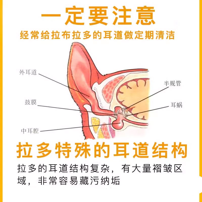 拉布拉多专用滴耳液狗洗耳液耳垢狗狗耳朵清洁成幼犬用洗耳水