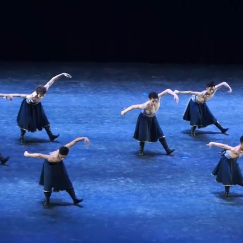 藏服男少数民族舞蹈演出服藏袍藏族表演服藏族舞蹈组合踢踏舞新款