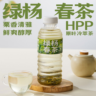 【新品首发】MICHA绿杨春茶HPP冷压锁鲜冷萃茶饮料500ml/瓶