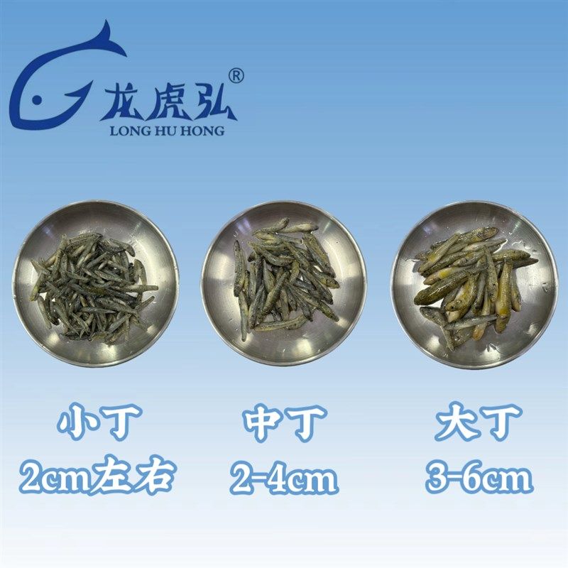 龙虎弘 丁鱼山根鱼 营养高蛋白龙鱼虎鱼魟鱼虾段麦穗河虾冷冻鱼食