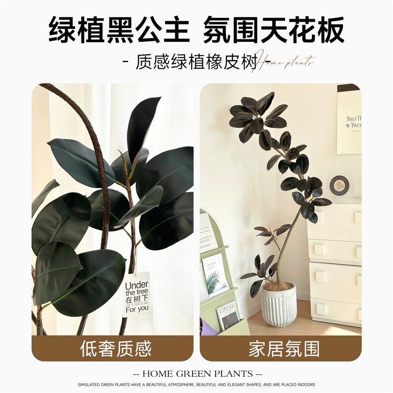 造型黑金刚橡皮树网红氛围感大型绿植物客厅大盆栽真树观叶侘寂风,鲜花速递/花卉仿真/绿植园艺,大型绿植/成品组合盆栽,淘宝优惠券,粉丝福利购,淘宝优惠卷