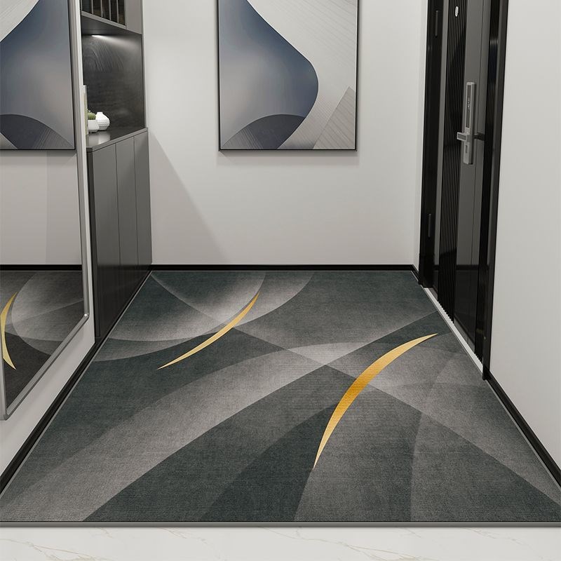 高端入户门地垫家用地毯门垫进门轻奢风客厅门口脚垫室内玄关垫子