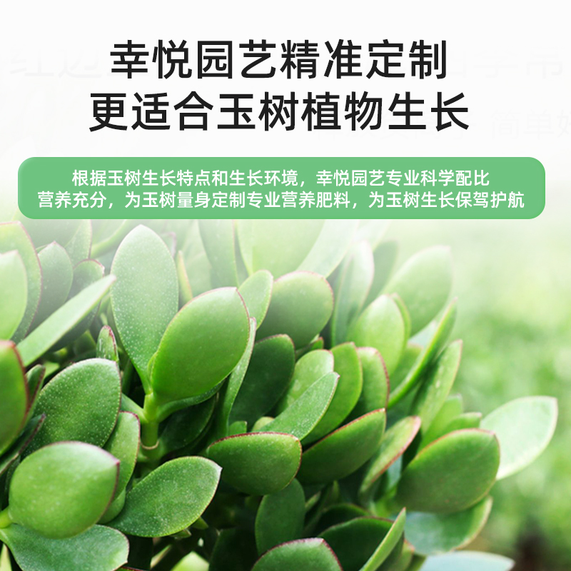 玉树专用缓释肥复合肥家用型控释颗粒植物盆栽绿植花卉养花肥料