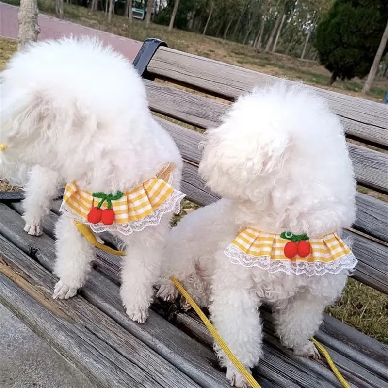 比熊小狗狗牵引绳背心式小型幼犬博美泰迪胸背带宠物狗链子遛狗绳