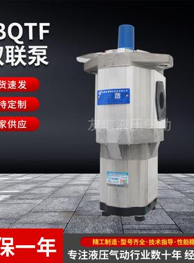正品原装合肥CBQTf-F5/F4双联齿轮泵