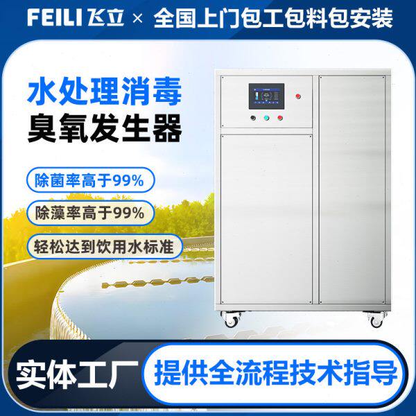 飞立原水杀菌处理用臭氧消毒机 24小时空气源臭氧发生器厂家