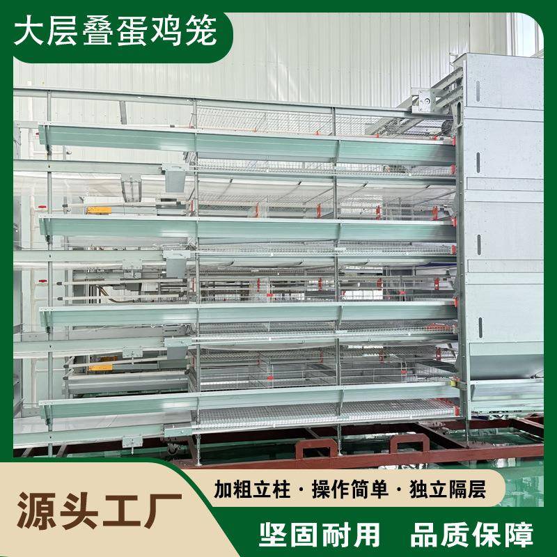 大层叠蛋鸡笼全自动养殖笼具三层四层热镀锌鸡笼养殖设备养鸡笼